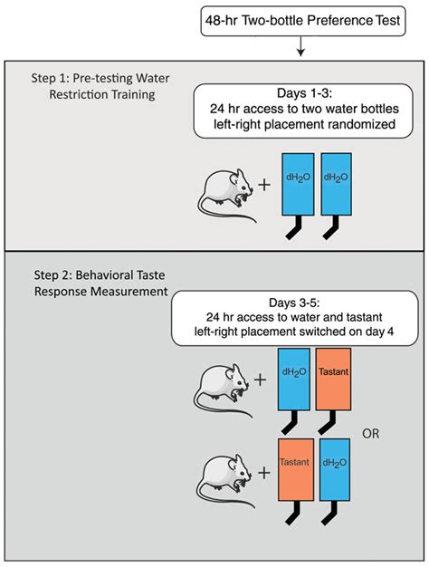 two bottle choice test protocol|Measurement of Behavioral Taste Responses in Mice: Two.